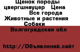 Щенок породы  цвергшнауцер › Цена ­ 30 000 - Все города Животные и растения » Собаки   . Волгоградская обл.